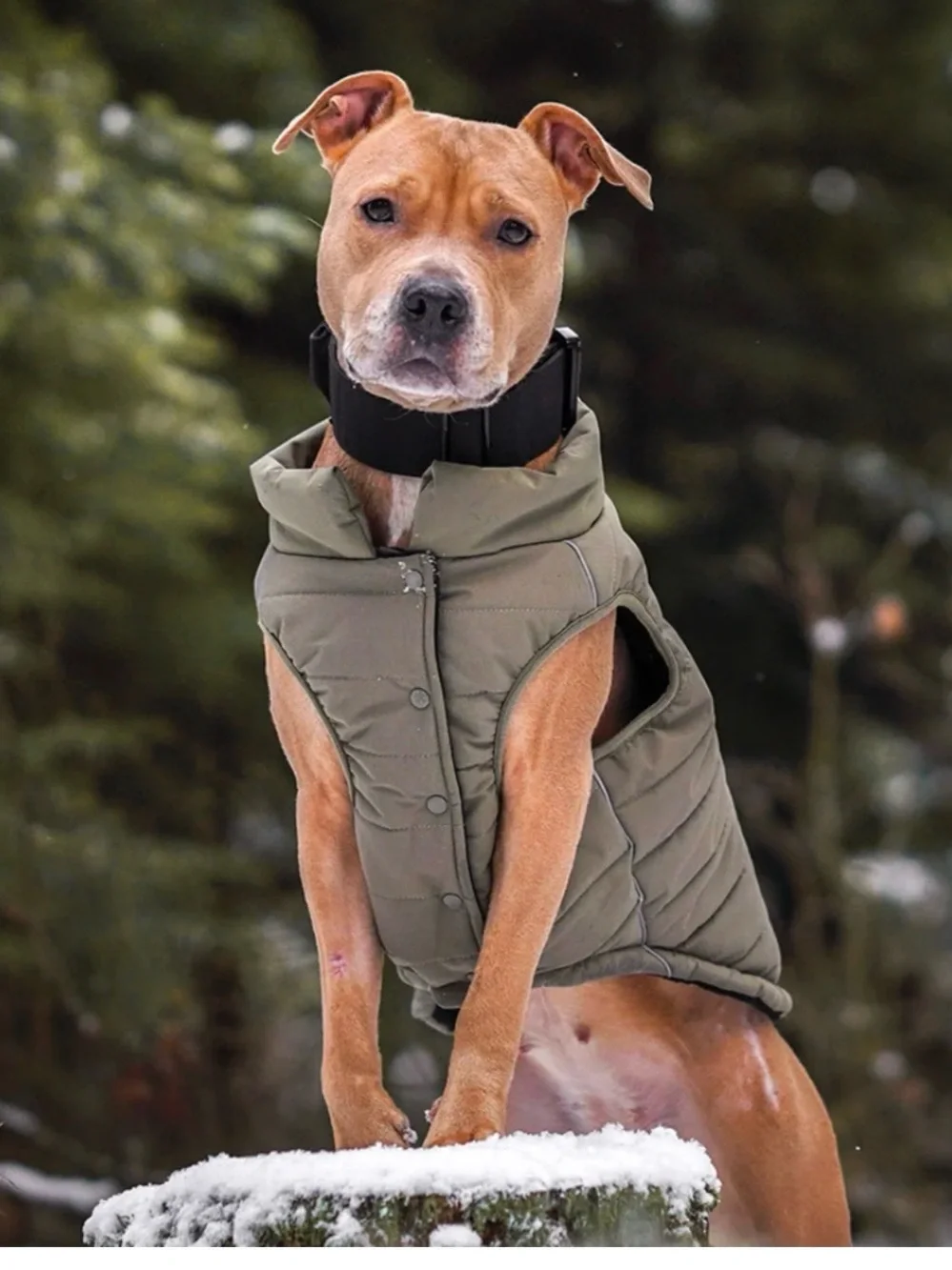 WarmShield Olive Puffer Dog Jacket - Water-Resistant